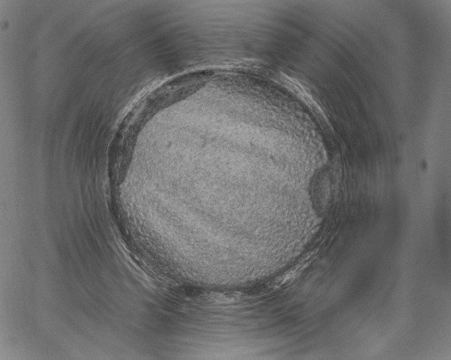 X0000067380346200604211613