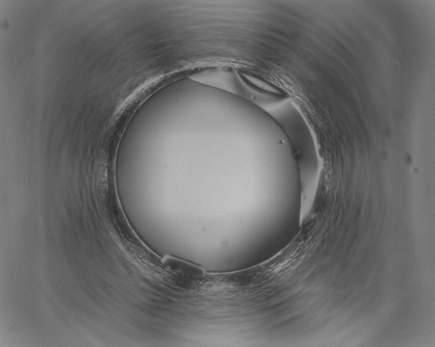 X0000067380348200604211613