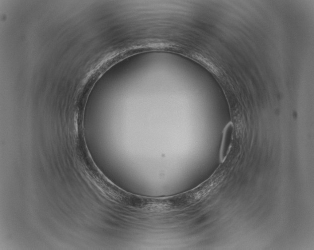 X0000067380350200604211613