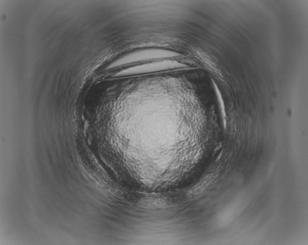 X0000067380354200604211613