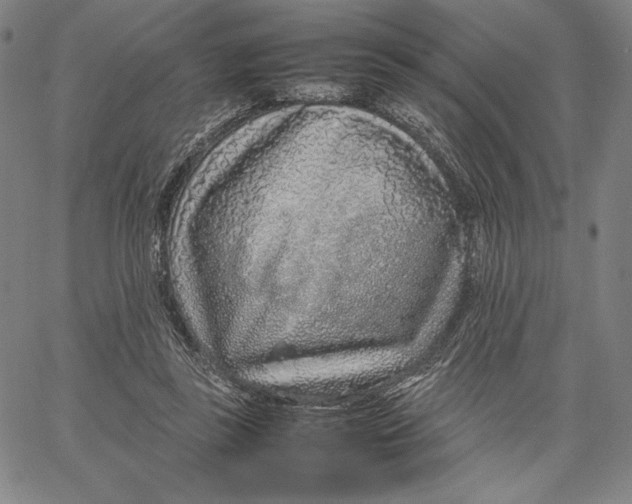 X0000067380355200604211613