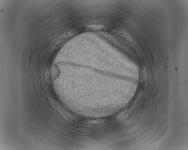 X0000067380365200604211614
