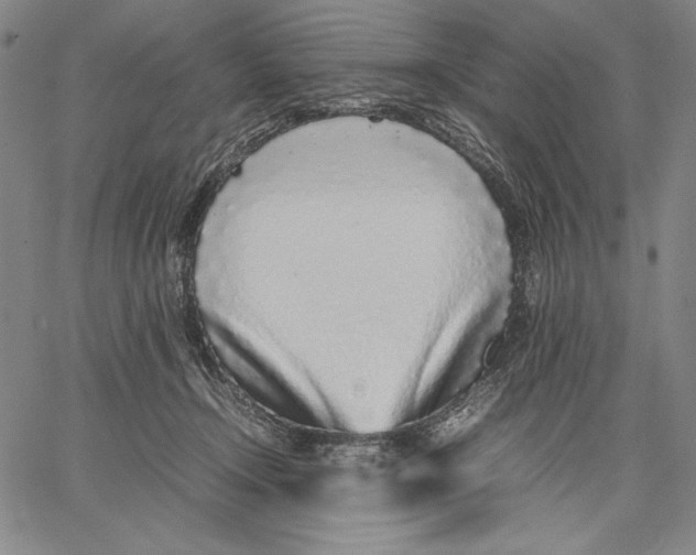 X0000067380366200604211614