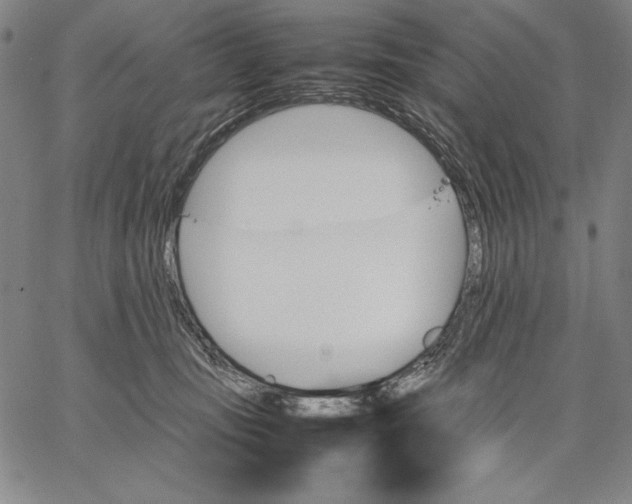 X0000067380371200604211614