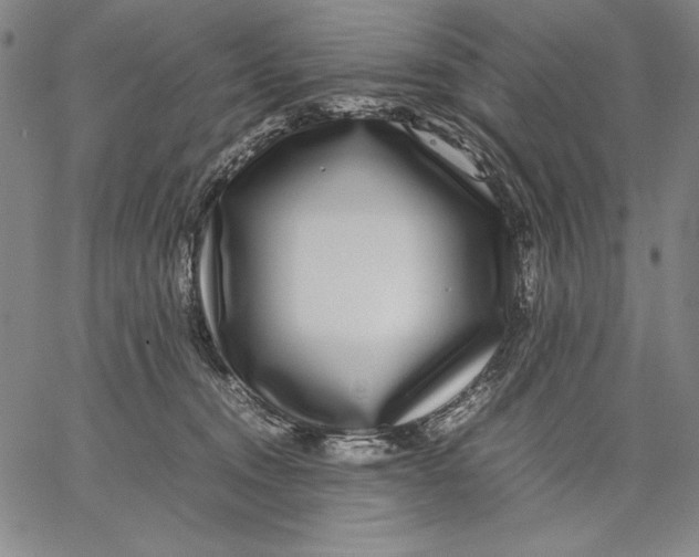 X0000067380372200604211614