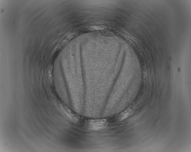 X0000067380373200604211614