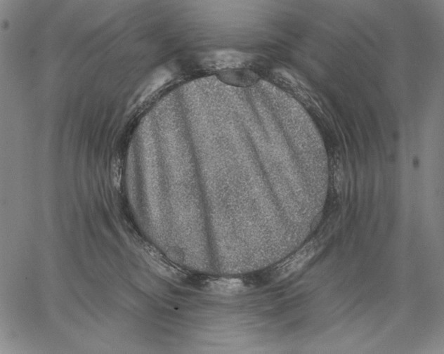 X0000067380374200604211614