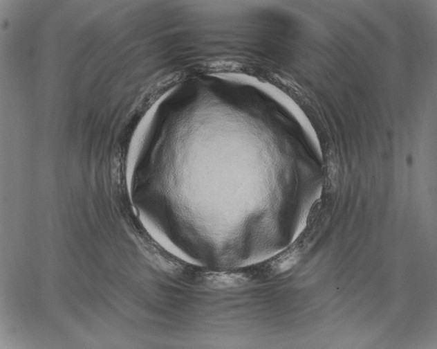 X0000067380379200604211614
