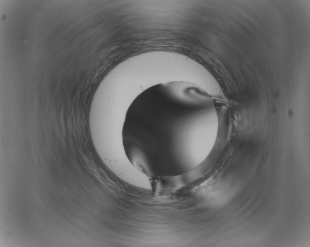 X0000067380380200604211614