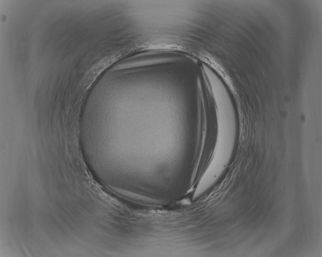 X0000067380385200604211613