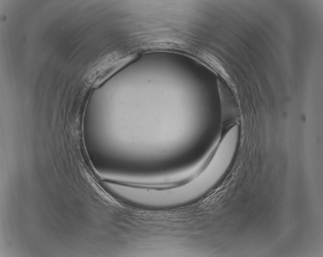 X0000067380389200604211613