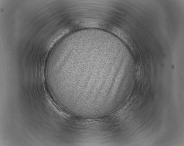 X0000067380390200604211613