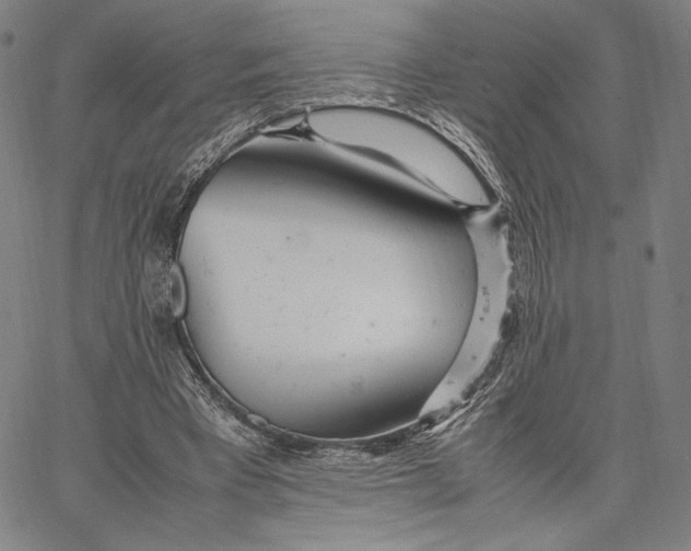 X0000067380393200604211613