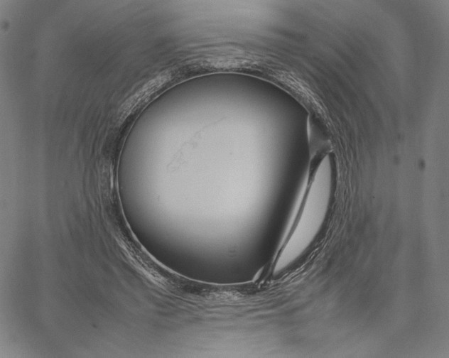 X0000067380397200604211613