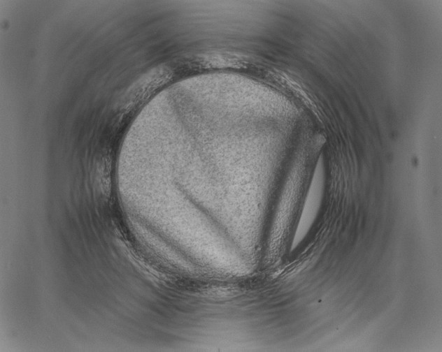 X0000067380402200604211613