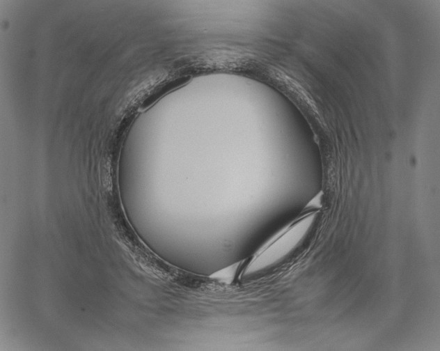 X0000067380403200604211613