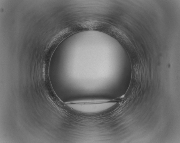 X0000067380404200604211613