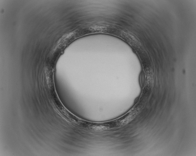 X0000067380408200604211613