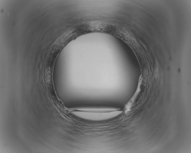 X0000067380413200604211613