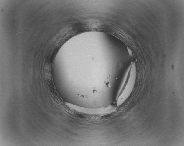 X0000067380421200604211613