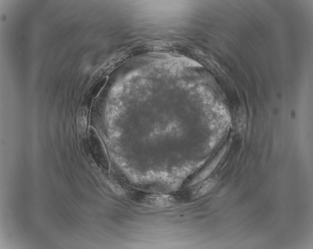 X0000067380427200604211612