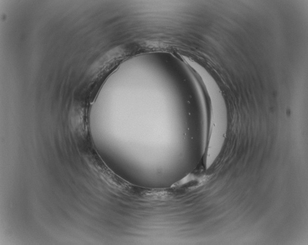 X0000067380428200604211612