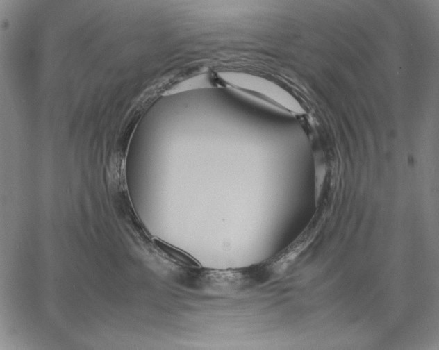 X0000067380429200604211612