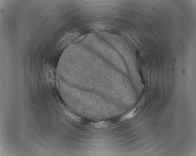 X0000067380430200604211612