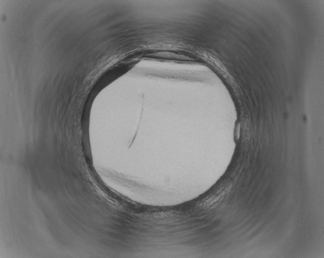 X0000067380433200604211612