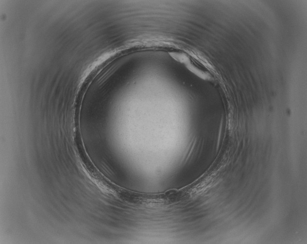 X0000067380438200604211612