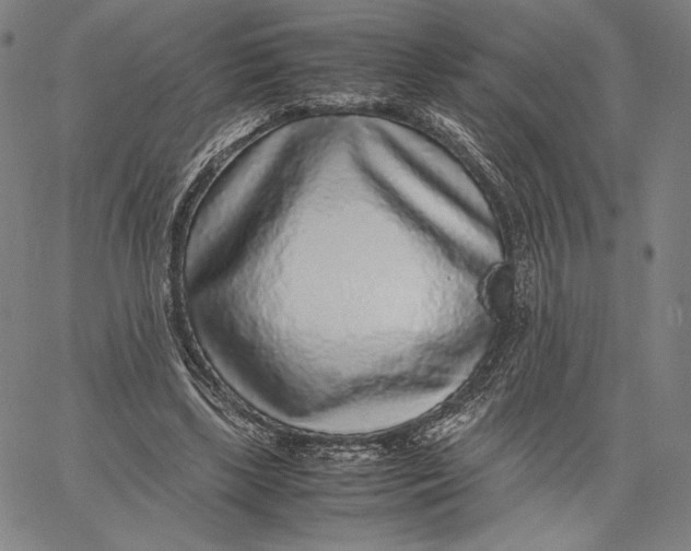 X0000067380443200604211612