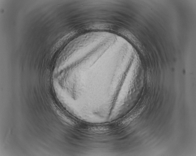 X0000067380445200604211612