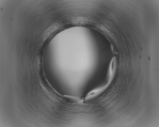 X0000067380448200604211612