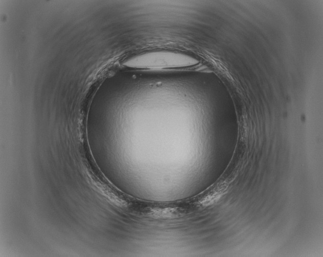 X0000067380450200604211612