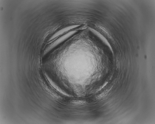 X0000067380453200604211612