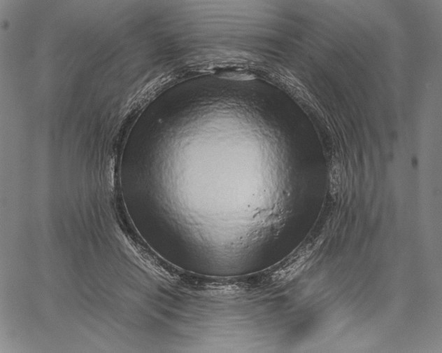 X0000067380454200604211612