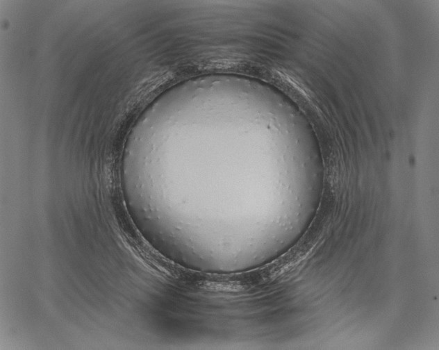 X0000067380455200604211612