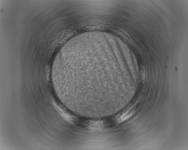 X0000067380458200604211612