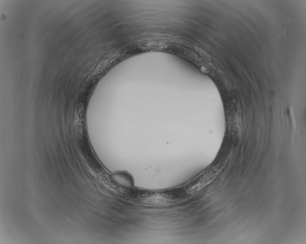 X0000067380460200604211612