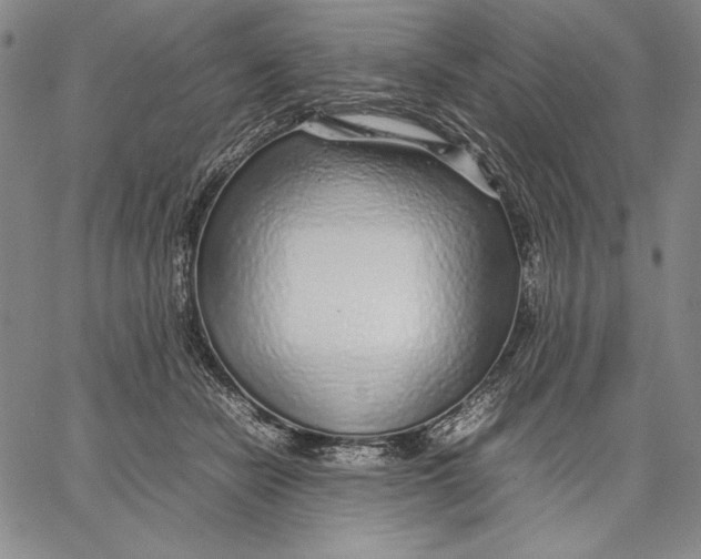 X0000067380462200604211612