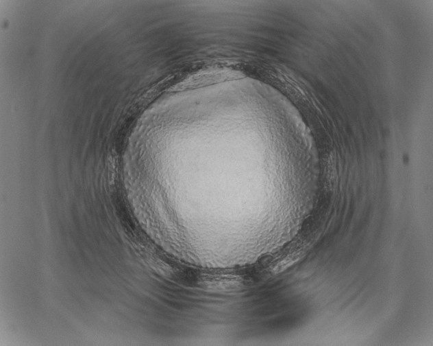 X0000067380463200604211612