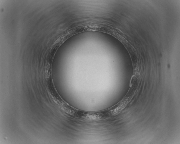 X0000067380464200604211612