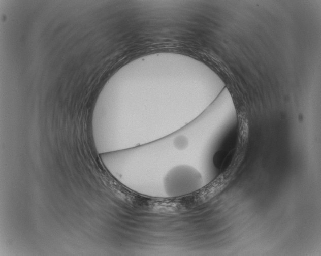 X0000067380471200604211612
