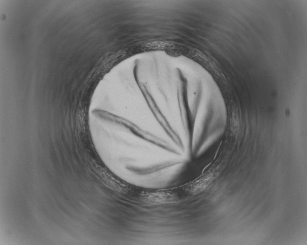 X0000067380473200604211612