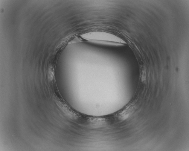 X0000067380476200604211612