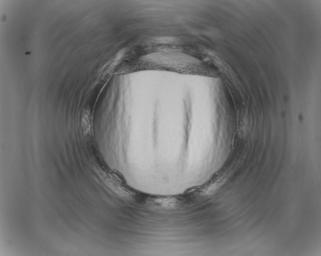 X0000067380478200604211612