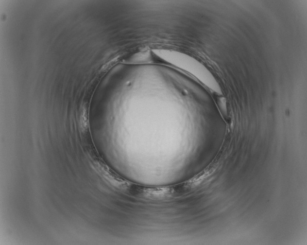 X0000067380479200604211612