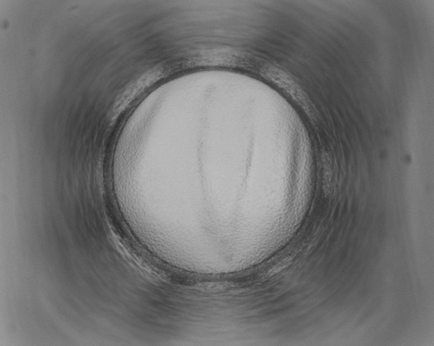 X0000067380482200604211612
