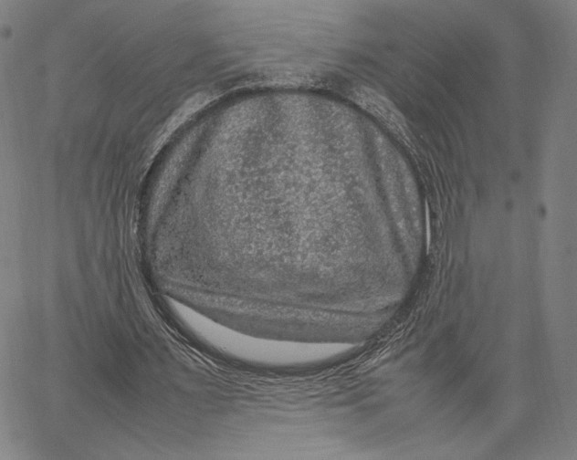 X0000067380483200604211612