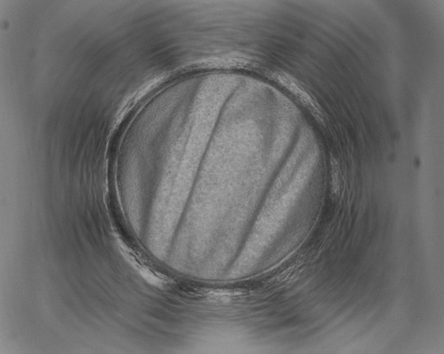 X0000067380486200604211612